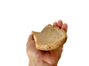 Non-GMO bread butts case