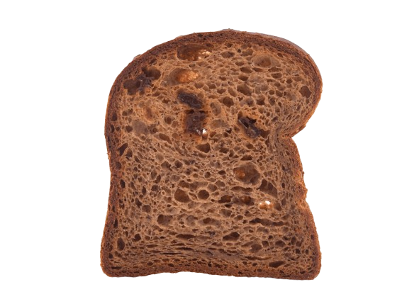 slice of organic gluten-free raisin bread